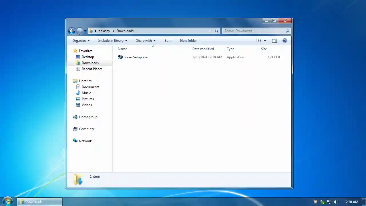 Windows 7's file browser with the steam setup inside
